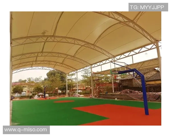 广州排球队的转换体系探析与战术创新研究