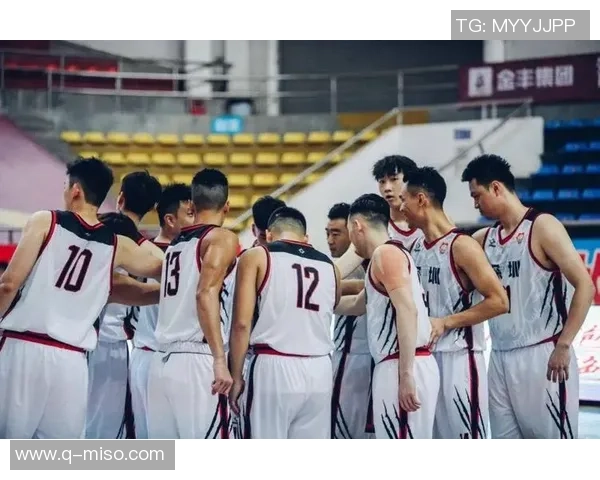 深圳篮球队荣登篮球节奏排行榜第二名引发热议