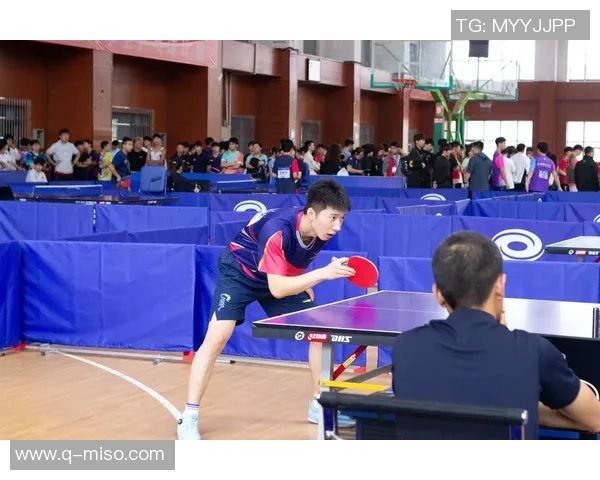 乒乓球的魅力与实力揭秘南京乒乓球队的成长之路与辉煌成就 乒乓球的魅力与实力揭秘南京乒乓球队的成长之路与辉煌成就