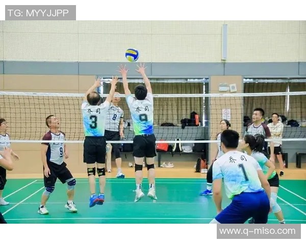 杭州排球队在精英赛中的比赛经验与表现分析 杭州排球队在精英赛中的比赛经验与表现分析