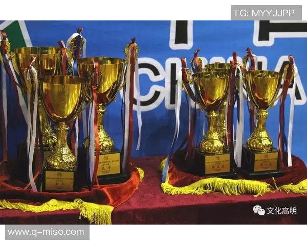 张娜乒乓球人生的深度对话与成长历程探讨